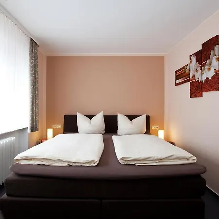 Penzion Mittelrhein 3*