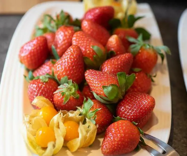 Mittelrhein Casa de hóspedes 3*